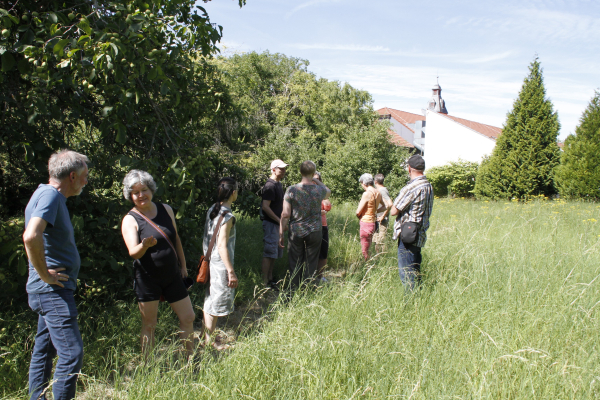 WohnGut Alte Schmiede, Wörrstadt